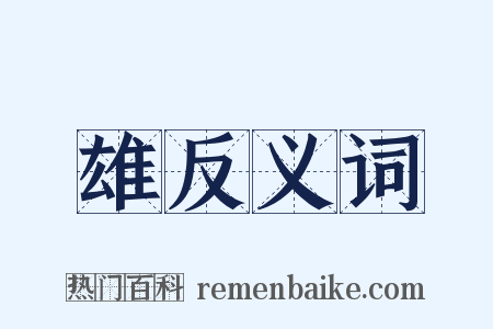 雄反义词是什么意思的图片